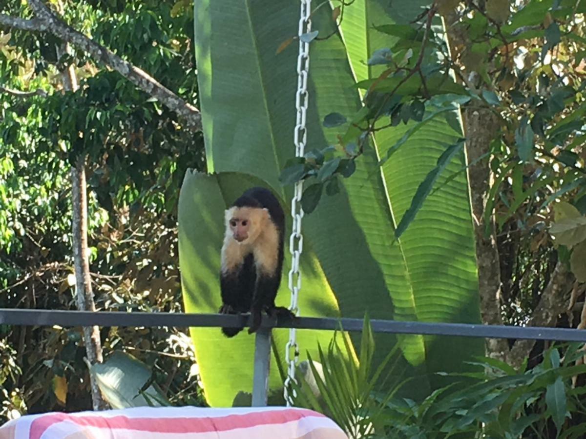 Casa Libertinn Manuel Antonio Kültér fotó
